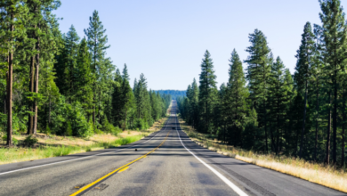 siskiyou county grapevine