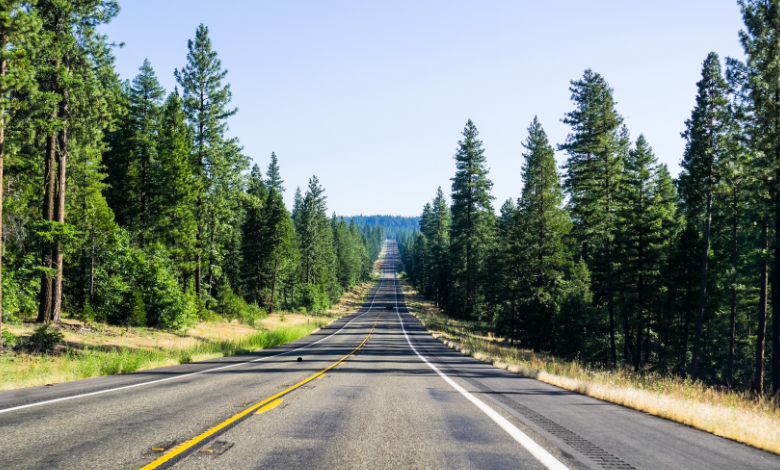 siskiyou county grapevine