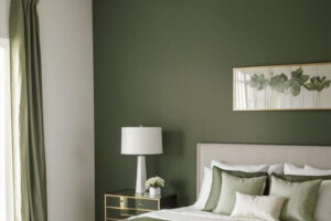 Wall Colour Combinations