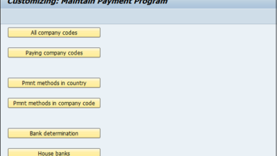 Automatic Payment Program